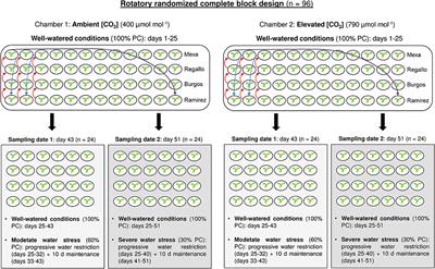 Interactive Effects of Elevated [CO2] and Water Stress on Physiological Traits and Gene Expression during Vegetative Growth in Four Durum Wheat Genotypes